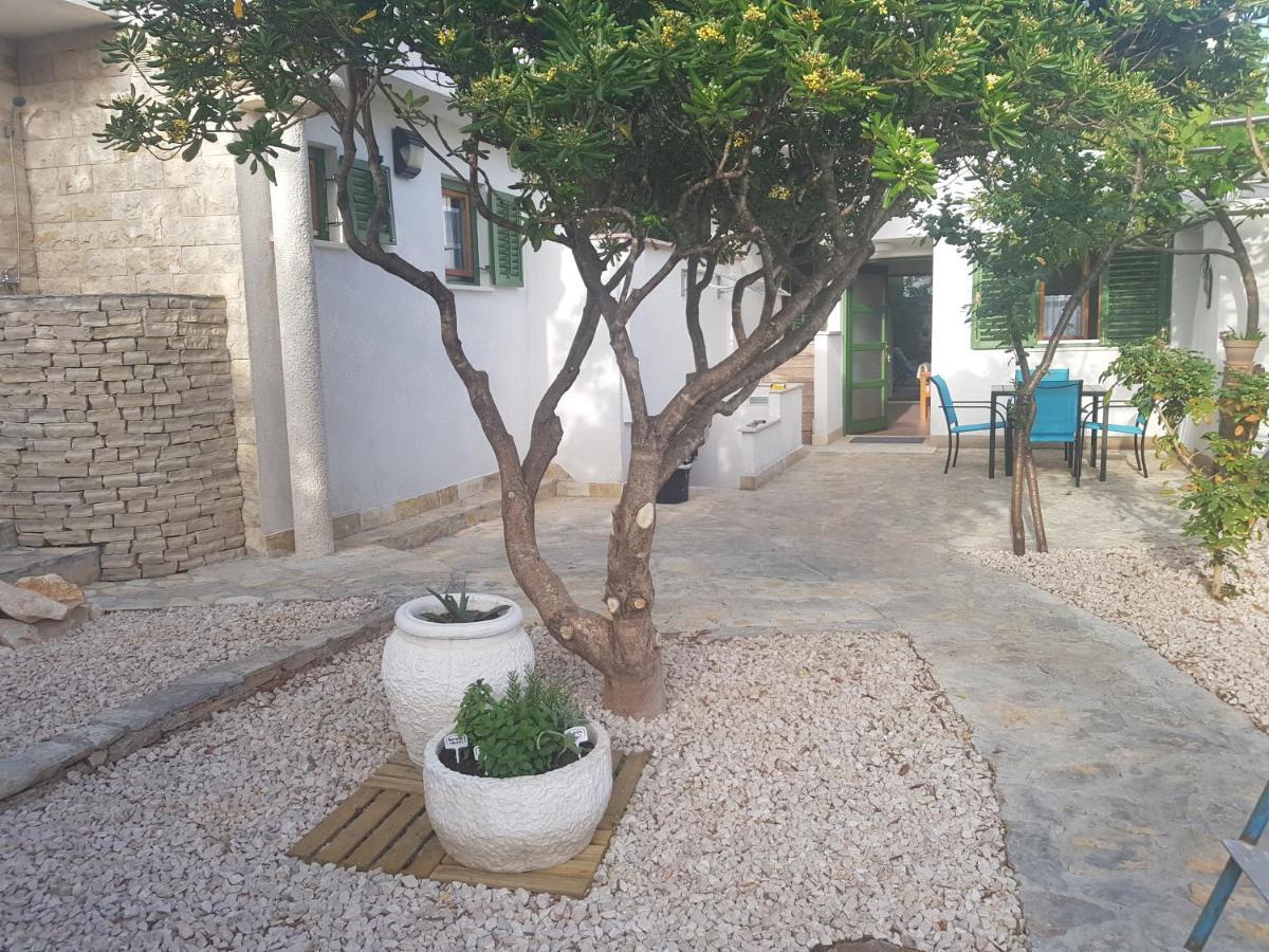Apartments Summer Touch פטרצ'אנה מראה חיצוני תמונה