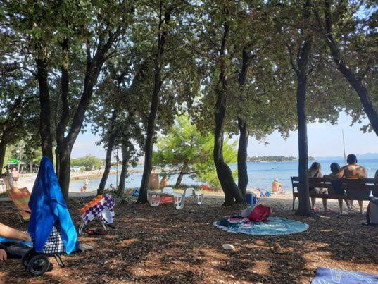 Apartments Summer Touch פטרצ'אנה מראה חיצוני תמונה